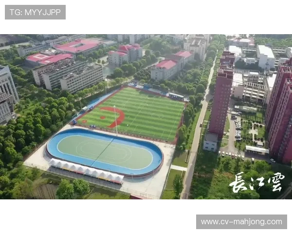 垒球文化传播策略研究:如何通过赛事扩大项目影响力 垒球文化传播策略研究:如何通过赛事扩大项目影响力