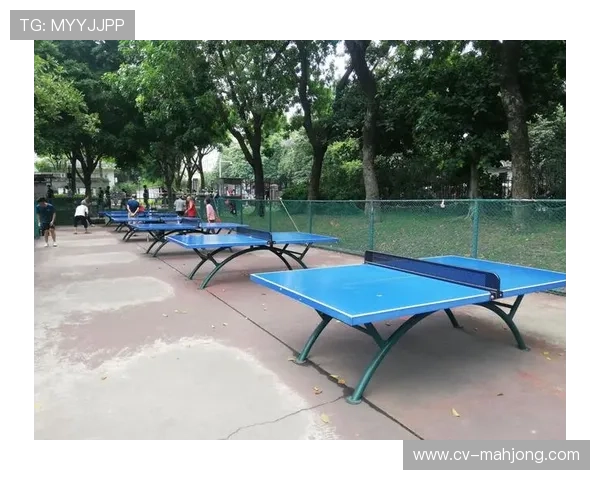 乒乓球设施纳入老旧小区改造，北京东城区近年增建多张球台